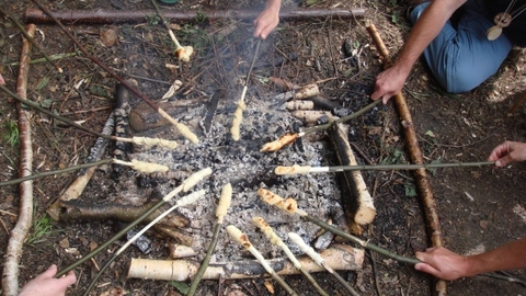 People cooking damper bread on sticks around a fire