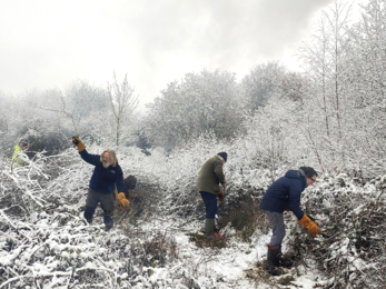 Volunteers working in the snow at Newdigate Brickworks
