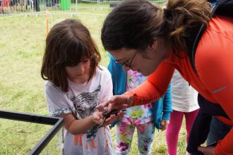 Girl looking at a slow worm at a Surrey Wildlife Trust event