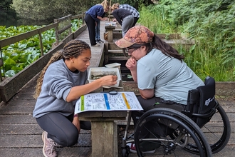 Young people looking into a pond dipping tray
