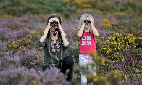 Family birdwatching on heathland