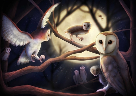 Parliament of Owls by Stella Dart
