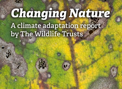 Changing Nature report cover