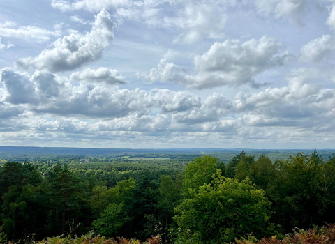 View from Crooksbury Hill