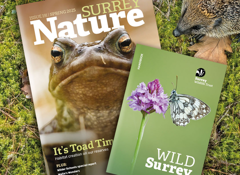 Surrey Wildlife Trust membership pack