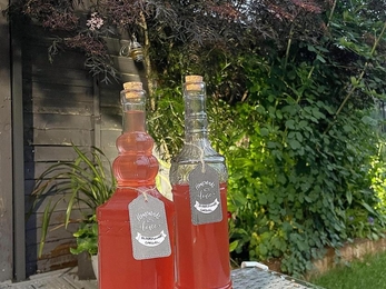 Elderflower cordial ingredients