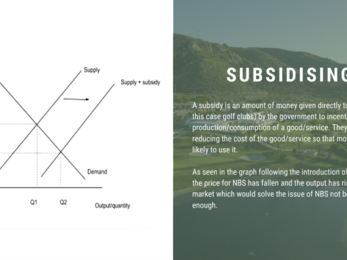 NBS natural capital subsidies