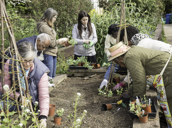 People working in a wildlife friendly garden