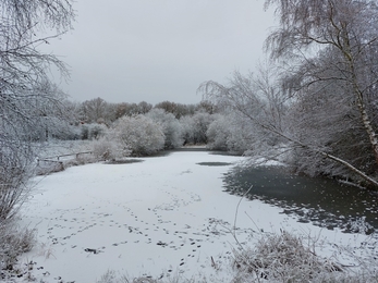 Newdigate Brickworks in the snow 