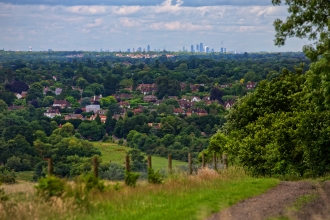 Norbury Park View