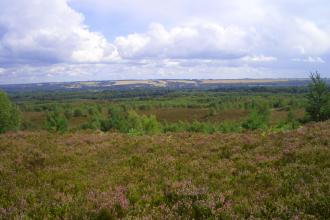 Ash Ranges