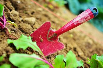 wildlife gardening