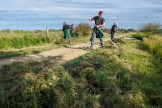 volunteer clearing overgrown footpath