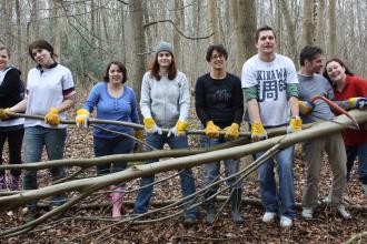 Volunteers in woodland