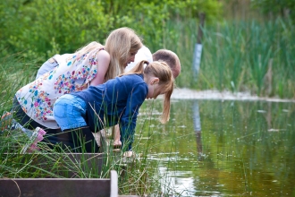 Pond dipping at Bay Pond