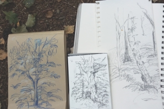sketching trees