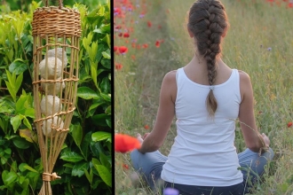 willow craft & relaxing yoga