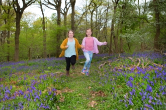 Children running in bluebells