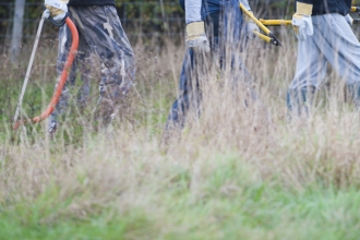 Volunteers clearing scrub