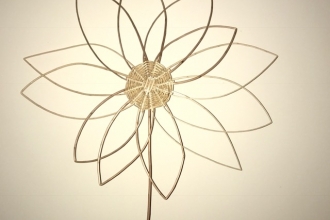 willow flower
