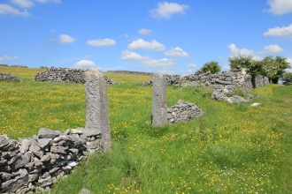 history of landscape