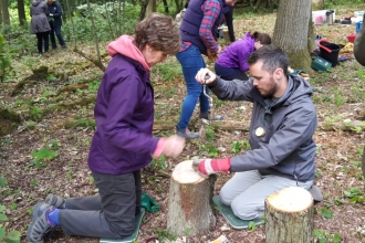Forest School taster palm drill