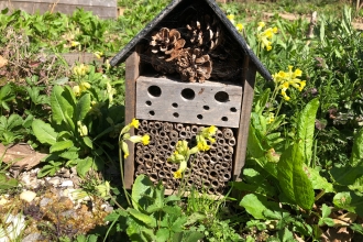 Bee home