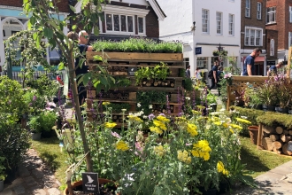 Pop-Up Wildlife Garden in Guildford High Street