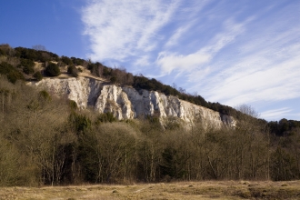 Brockham Chalk Cliff