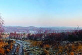 Chobham Common