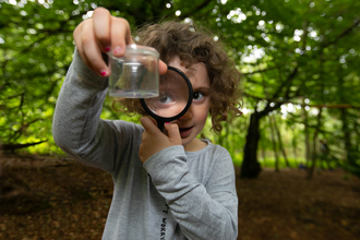 A girl is in the woodlands, looking through a magnifying glass at a minibeast in a pot