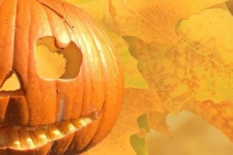 Halloween Autumn pumpkin