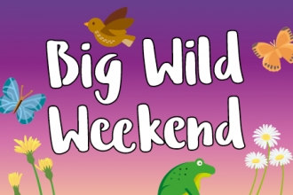 Big wild weekend 2020