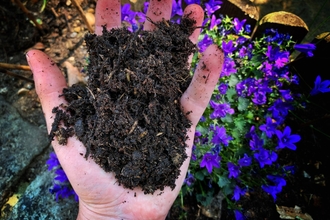 Compost