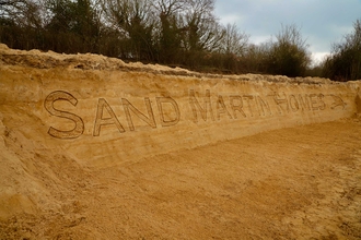 Sand martin nest bank at Spynes Mere Nature Reserve, Surrey
