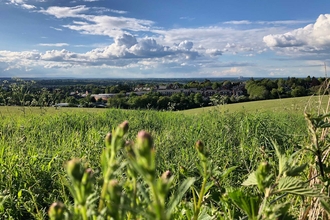 Pewley Down