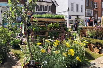 Pop-Up Wildlife Garden in Guildford High Street 