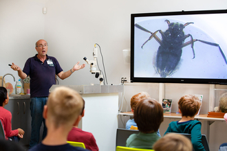 Nower Wood classroom teaching children