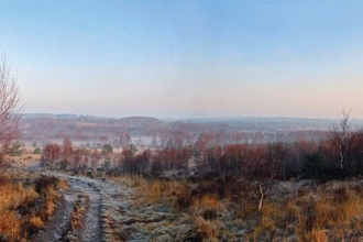 Winter Chobham Common