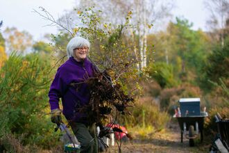 Volunteers tree popping scrub