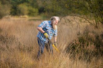 Volunteers tree popping