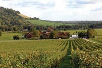 Denbies Wine Estate