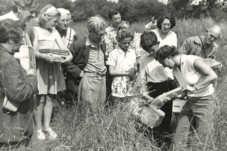 Mammal trapping 1961