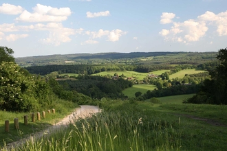 Newlands Corner