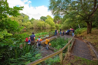 Pond dipping at Nower Wood children