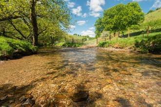 River Exe