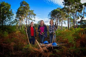 Practical volunteering - Main web page