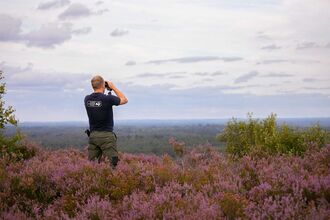 Surveying Ash Ranges
