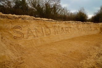 Sand martin nest bank