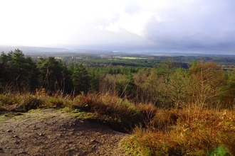 View from Crooksbury Hill